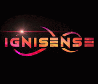 Ignisense 21 Annual Culural, Management and Sports Festival Poster